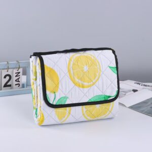 picnic mat-PM02-4