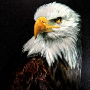 Suzhou Embroidery Art